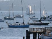 Boats in the Bay