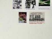 Dear Town: A Town-Wide Poetic Letter by Lindsey Wayland