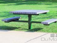 Picnic Table with ADA options