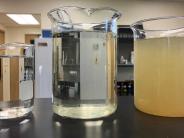 Comparing drinking water, influent and effluent water samples.