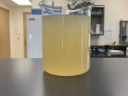 This is a sample of the water that comes in prior to being treated (influent, what gets flushed down the drains)