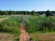 Man-made wetlands that are part of our treatment system