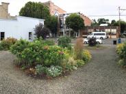 Adams St Park