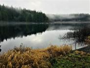 Anderson Lake Trails