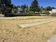 Chetzemoka Dog Park