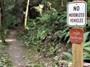 Gibbs Lake Trails
