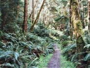 Miller Peninsula Trails