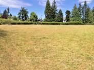 Sather Dog Park