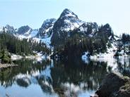 The Brothers Wilderness